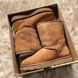 Short Classic Chestnut Ugg boots